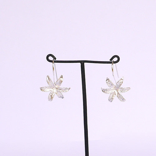 Morning Star Lily Drops