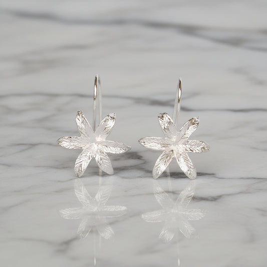 Morning Star Lily Drops